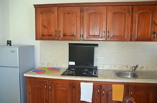 Highgrace Apartments Cabarete Kitchen 1