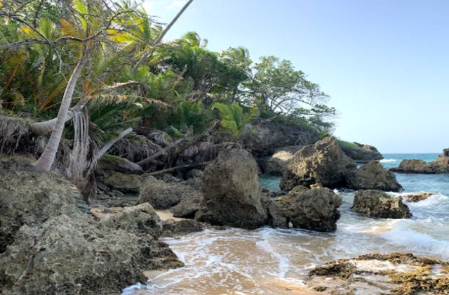 Playa Preciosa Rio San Juan 1