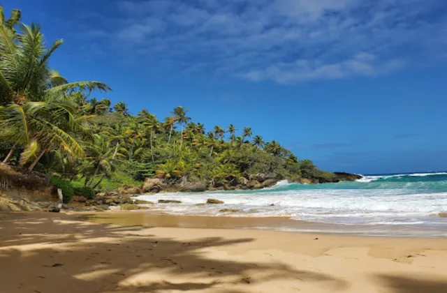 Playa Preciosa Rio San Juan Dominican Republic