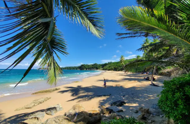 Playa Preciosa Rio San Juan Dominican Republic