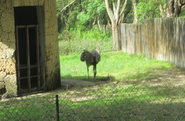 Zoo of Santo Domingo - Dominican Republic