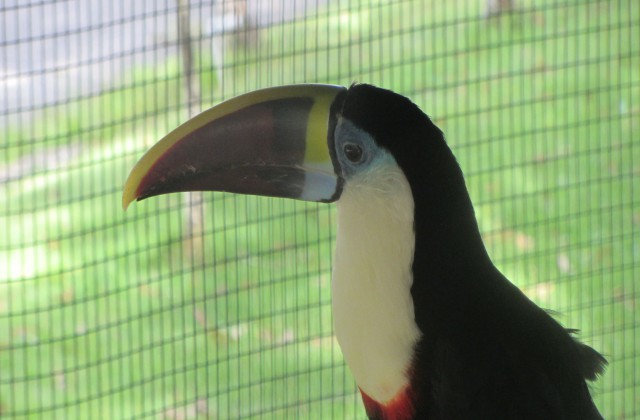 Zoo of Santo Domingo - Dominican Republic